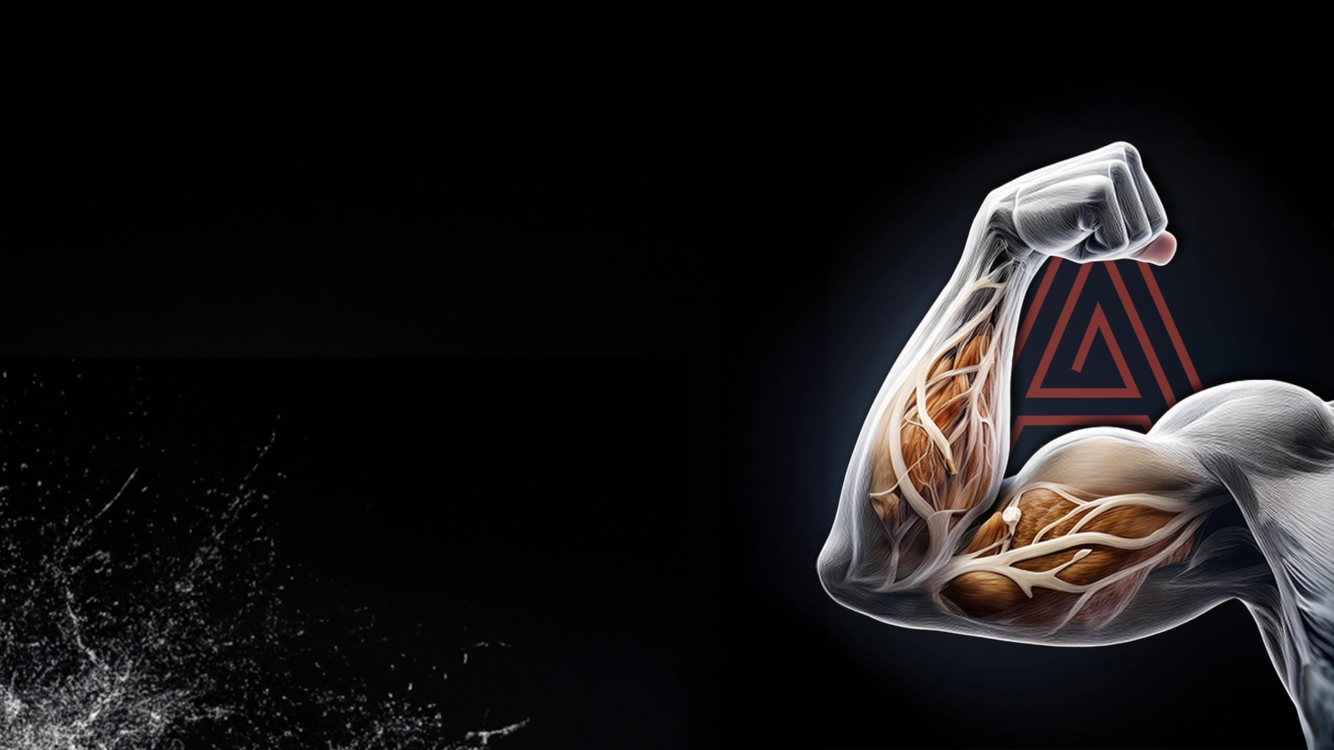 article-post-what-is-hypertrophy